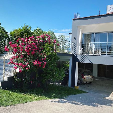 Leli Apartments Ulcinj Exteriör bild